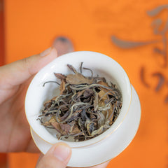 Fuding White Tea 2013 Gongmei Old White Tea Jujube Fragrance Alpine Tea 500g
