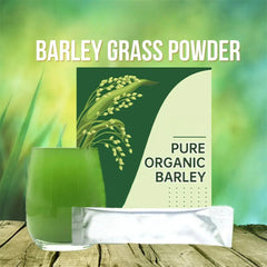 Pure Organic Barley, Barley Grass Powder 100% Pure & Organic