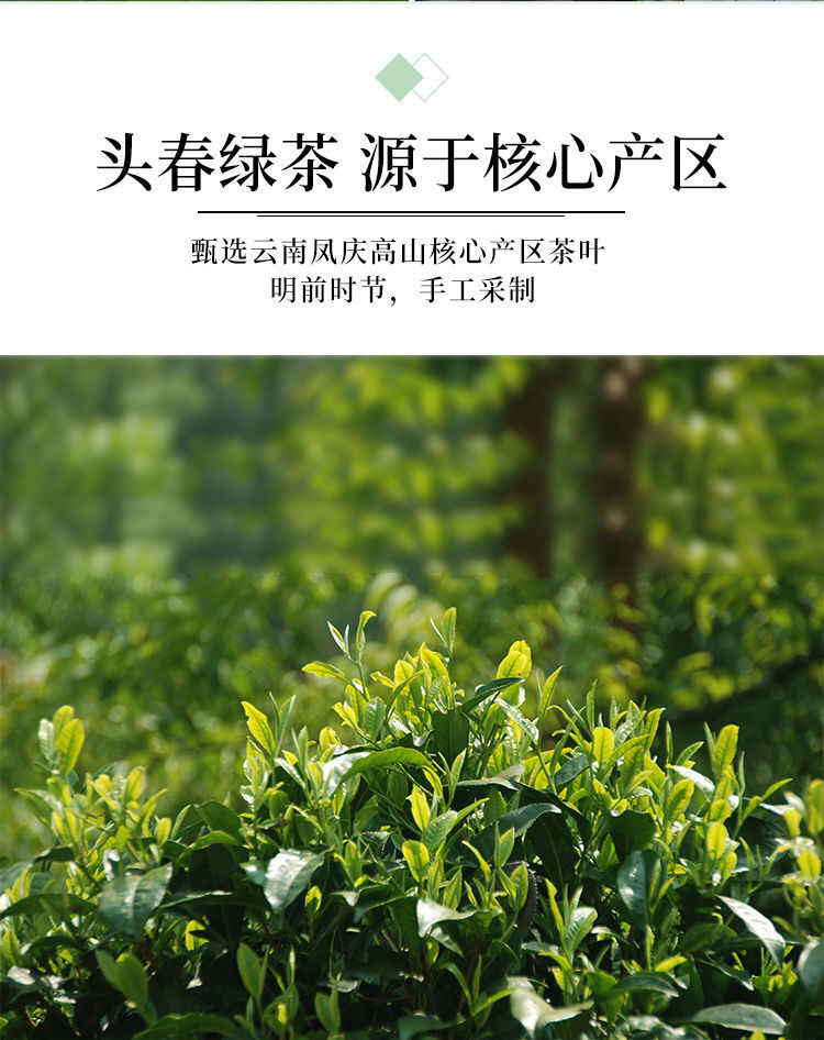 Jasmine Tea Hengxian Jasmine Tea Extra Strong Fragrance Jasmine Green Tea 400g