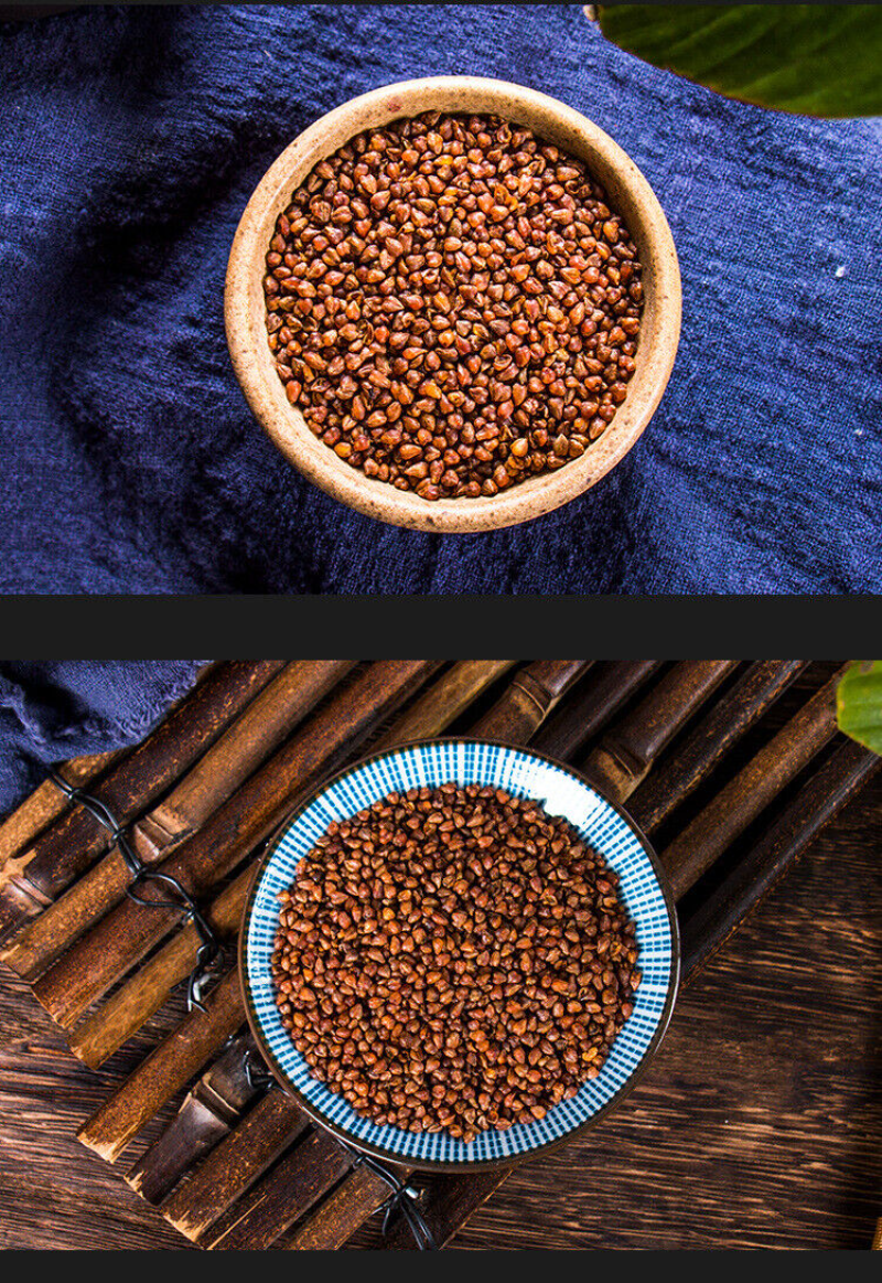 HelloYoung Wanming Longzhu black buckwheat tea cans buckwheat tea herbal health tea 17.6oz