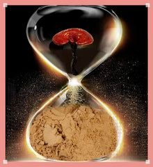 ✅ Reishi Mushroom Powder - Premium Quality Organic - QUICK POST100g