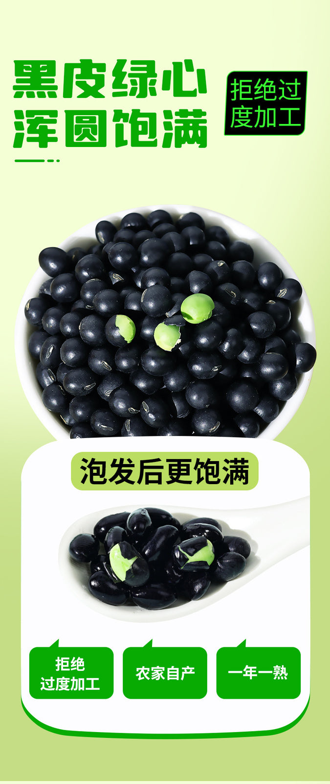 Green Heart Black Beans – Non-GMO Soybeans for Soy Milk & Bean Sprouts