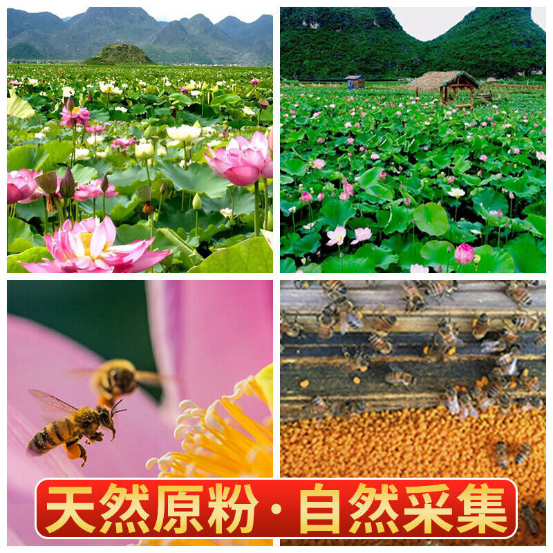 Yunnan Selected Particle Source Puzhe Black Lotus Pollen Plateau Specialty 200g
