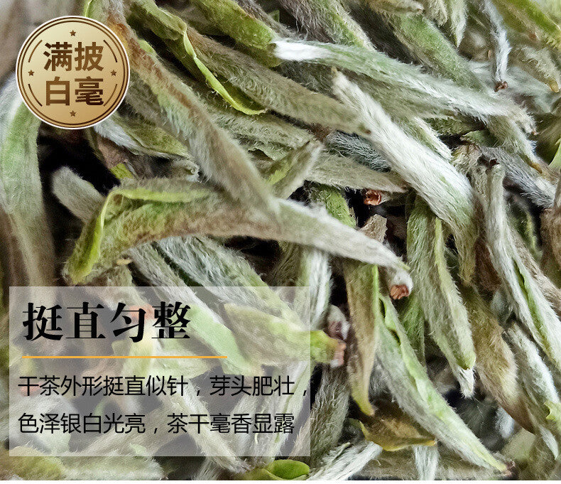 White Tea 50g/can First Spring Tea Loose White Tea Fuding Baihao Yinzhen Fuding