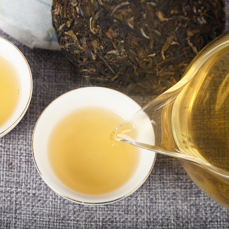 Spring Tea Health  Tea Yunnan Tea Puerh Tea Organic Pu'er