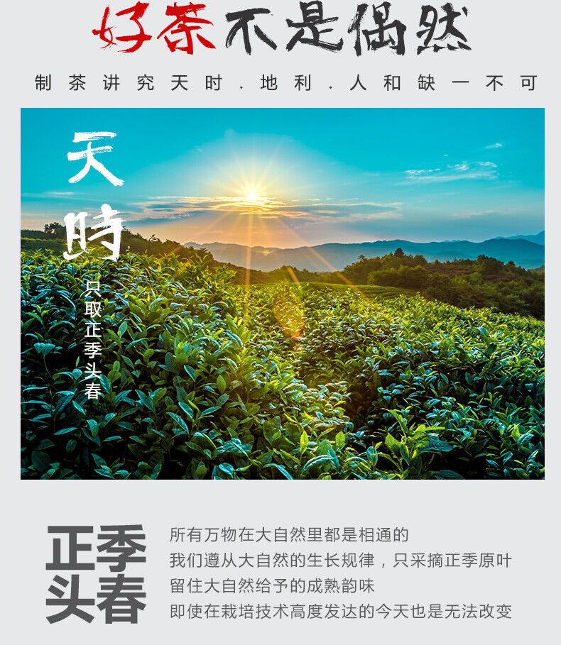 HelloYoung Liubei Jinjunmei Black Tea Honey Aroma Type Wuyishan Tongmuguan New Tea 125g