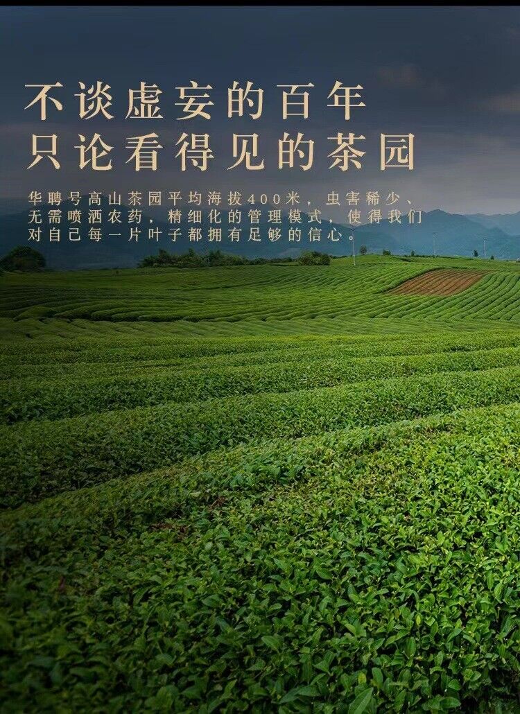 HelloYoung 350g Fuding high mountain white tea sun aged white tea gongmei date fragrance