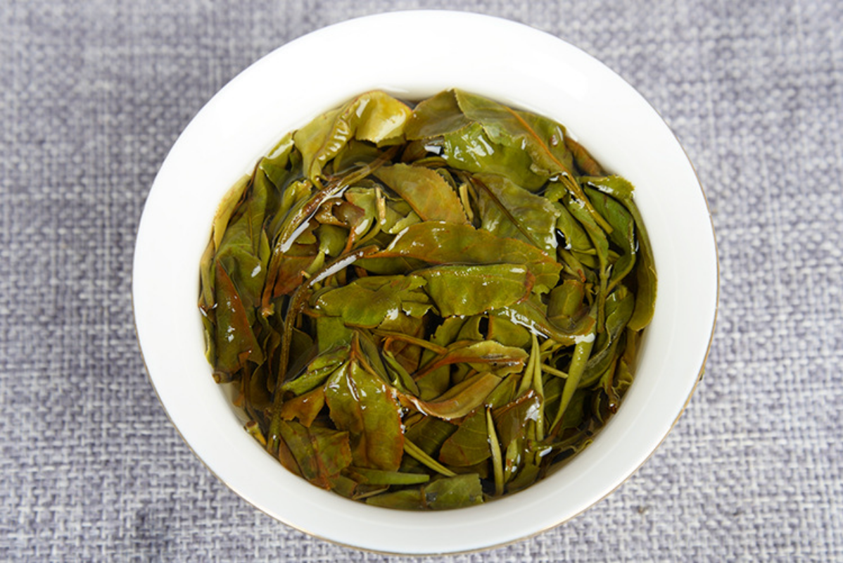 HelloYoung 500g Yunnan white tea early spring ancient Fuding white tea process white tea