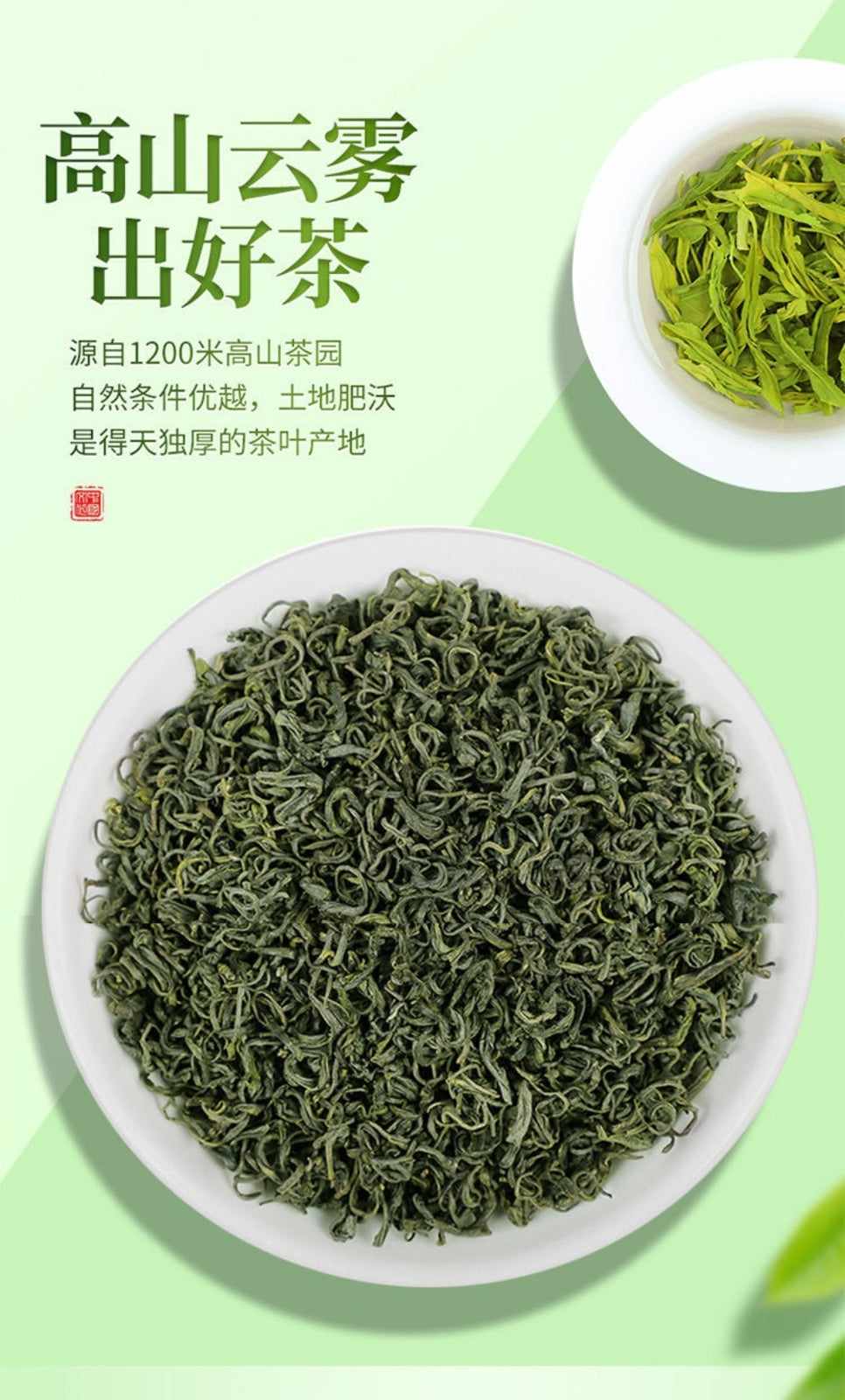 2025 Ming Qian High Mountain Bi Luo Chun Green Tea Spring Premium Yunnan