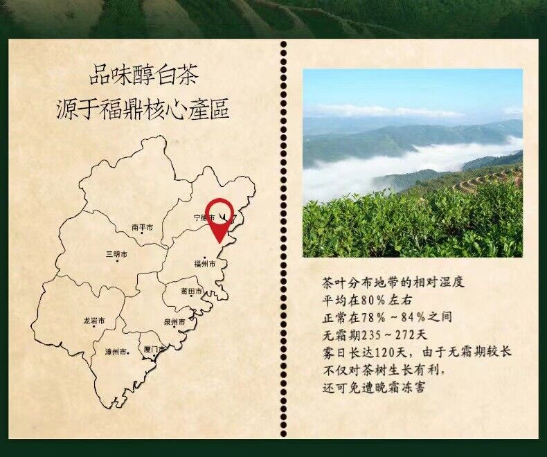 HelloYoung 400g Fuding high mountain white tea Longzhu old white tea Shoumei tea