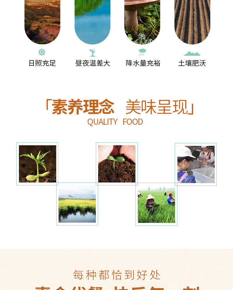 Hundred Grains Peptide Porridge Grains Dietary Fibre Powder