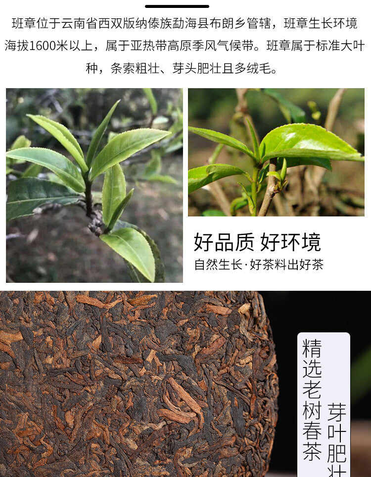 357g Yunnan Tea Pu'er Tea Old Ban Zhang Pu'er Tea Cake Seven Seed Cake Tea