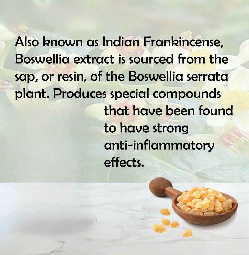 Boswellia Serrata Extract 17.6 oz