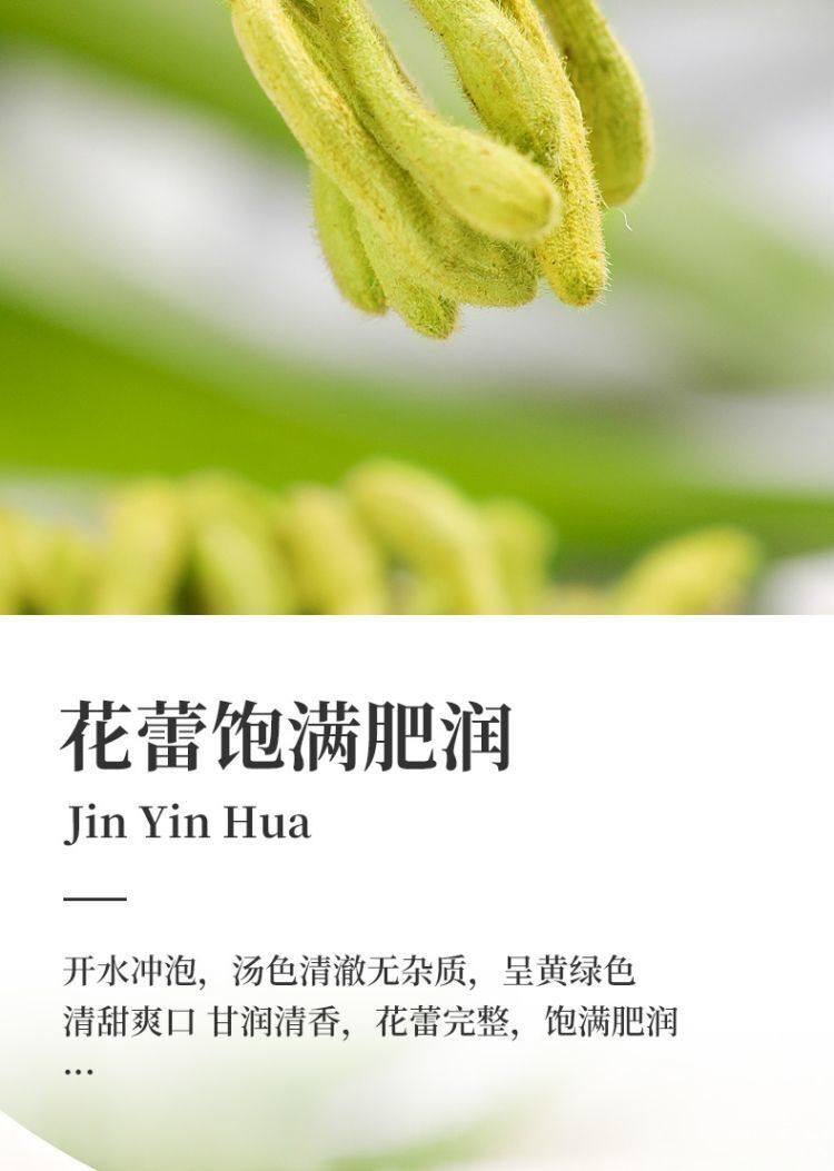 Honeysuckle Tea Herbal Nature Honeysuckle Tea Herbal Tea Health Tea 80g