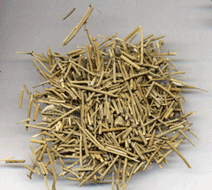 HelloYoung (250 GRAM) Ma Huang / Ephedra Sinica Stem Pure Raw Natural Tea Ma Wang