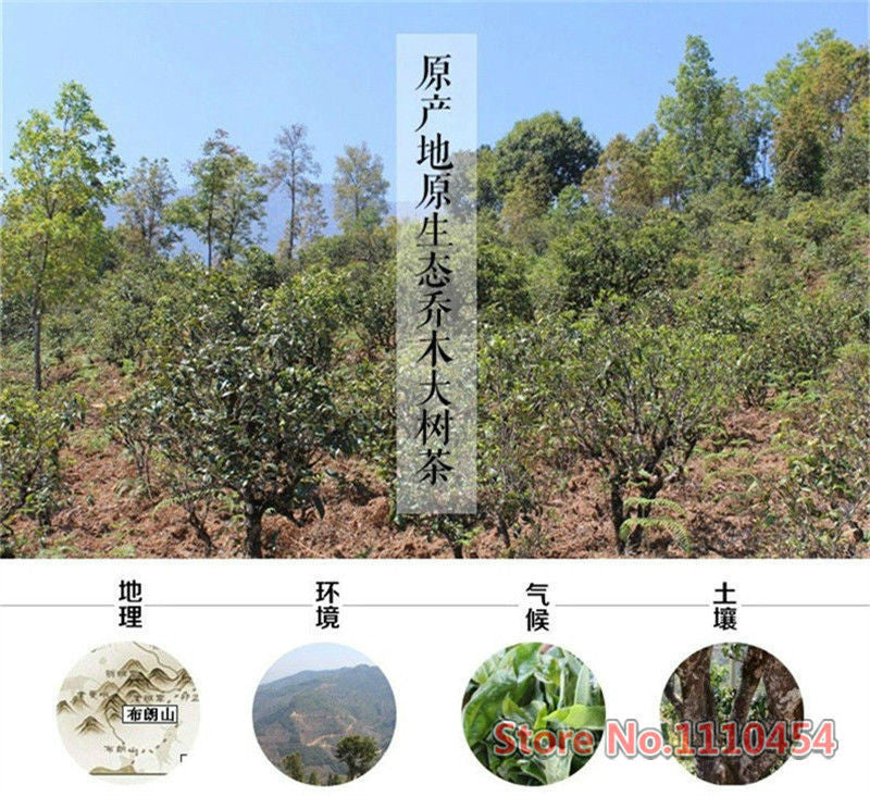 10 pcs 50g Puer Tea China Top-Grade Raw and Cooked Puerh Tuocha Tea