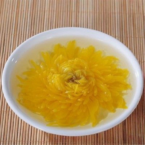 Organic Gold Huang Ju 4 Pcs Large Chrysanthemum Flower Tea Herbal Tea in Summer
