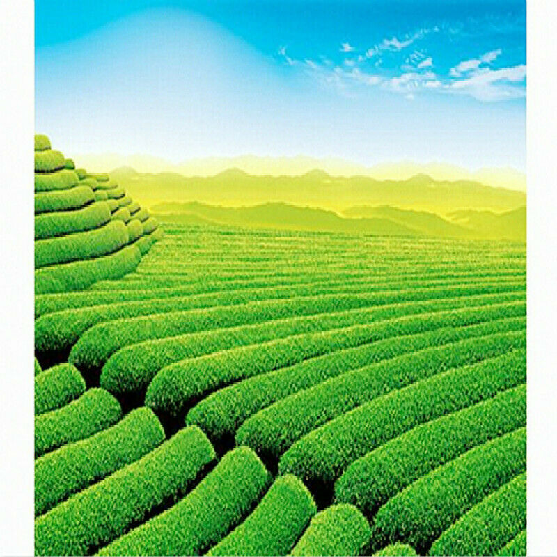 HelloYoung Qi Men Hong Cha Keemun Black Tea Chinese Gongfu Tea Black Tea Loose Leaf Red Tea