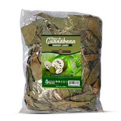 100% natürliche Guavenblätter Pure & Premium frisch getrocknete Hojas de Guayaba
