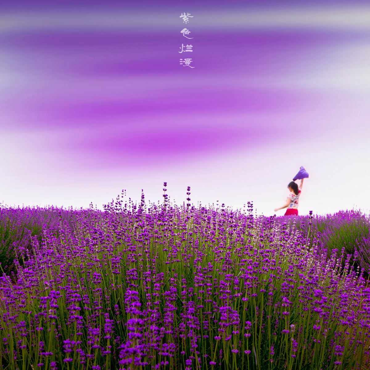 50g Lavender Dried Flower Tea Yangxinanshen Chinese Herbal Gift Good for Sleep