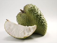 Annona Muricata Guanabana Herbal Tea 100 Tea Bags Pure Leaf Soursop