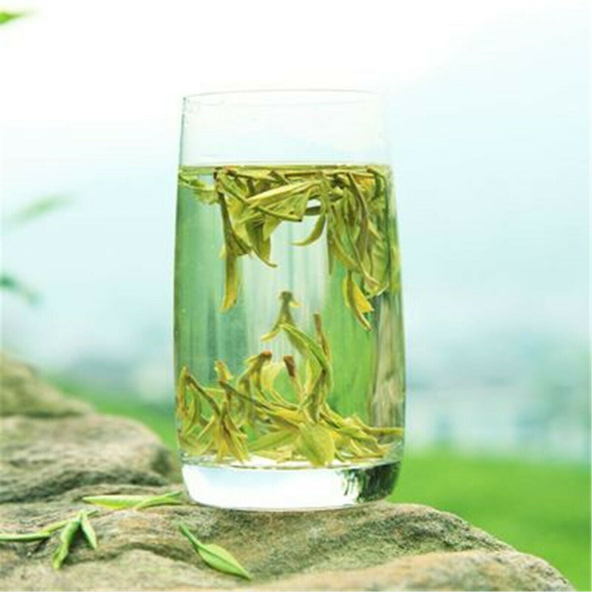 HelloYoung 500g West Lake Longjing Tea Organic Tea Green Tea Mountain Rain Before Authentic