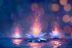 Egyptian Blue Lotus Flowers (Nymphaea Caerulea) 28g (1oz) ships from ATL