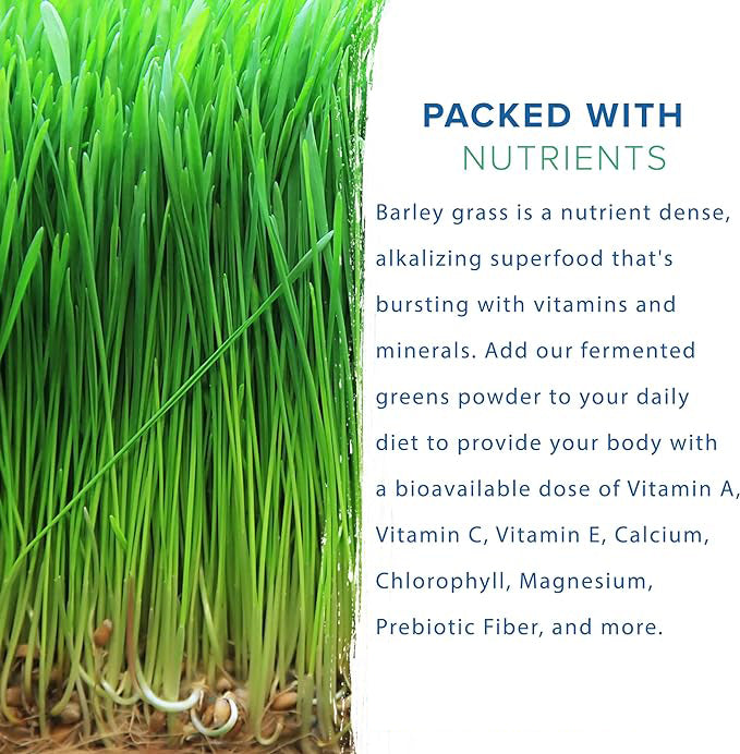 HelloYoung Unsweetened Premium Organic Barley Grass Powder 250g Non-GMO Gluten-Free Soy-Free Vegan & Paleo – Daily Greens Booster