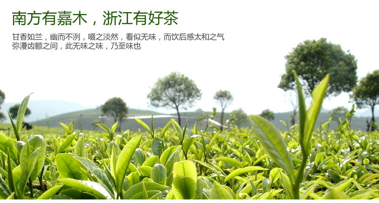 HelloYoungChinese Tea Longjing Tea Spring Green Tea West lake Longjing Tea 50g Long Jing tea