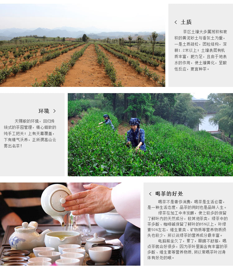 HelloYoungChinese Tea Longjing Tea Spring Green Tea West lake Longjing Tea 50g Long Jing tea