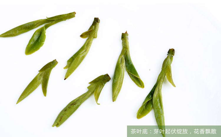 HelloYoungChinese Tea Longjing Tea Spring Green Tea West lake Longjing Tea 50g Long Jing tea