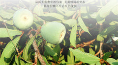 HelloYoung50g Flower tea weight loss slimming Detox beauty Anti-Aging Chinese herbal tea