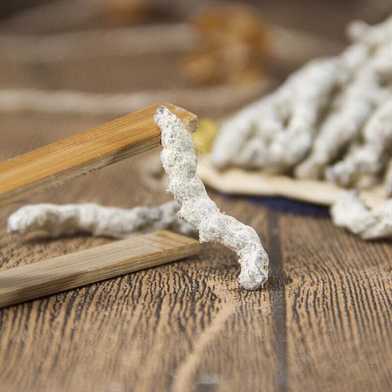 250g / 8.8oz Genuine White Stiffy Silkworm Chinese Herbal Medicine Stiffy Silkworm White Stiffy Silkworm Powder White Stiffy Silkworm Tentacles 正品白僵蚕中药材僵蚕白僵蚕粉白僵虫天虫姜蚕姜虫非炒僵蚕干