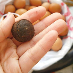 250g/Can Ripe Puerh Tea Small Tuocha Glutinous Rice Aroma Pu-erh Tea Cooked Tea