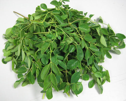 100%Organic Natural Premium Quality A Dried Moringa Oleifera Leaf Leaves/powder