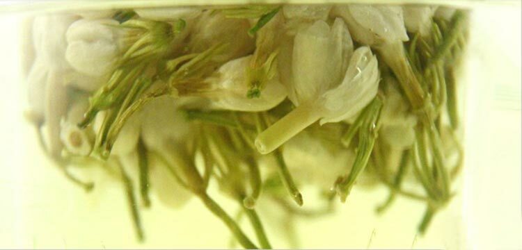 Organic Jasmine Flower Tea Floral Dried Buds Herbal Natural Fragrance Tea