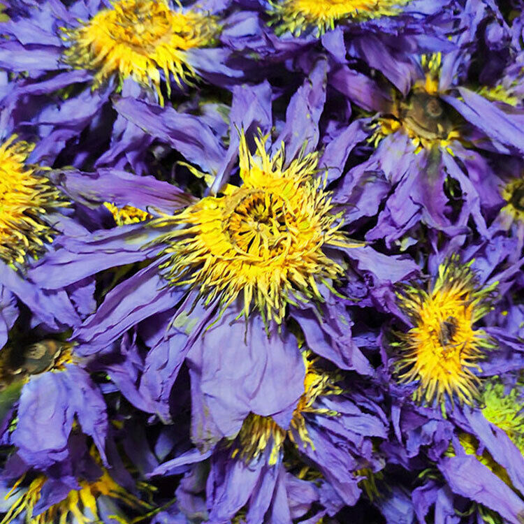 100g Dried Loose Blue Lotus Flower Herbal Tea Nymphaea Caerulea Savigny