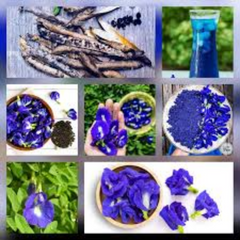 Dried Flower Natural Herbal Pure Drink 100% Butter*fly Pea Blue Organic Tea