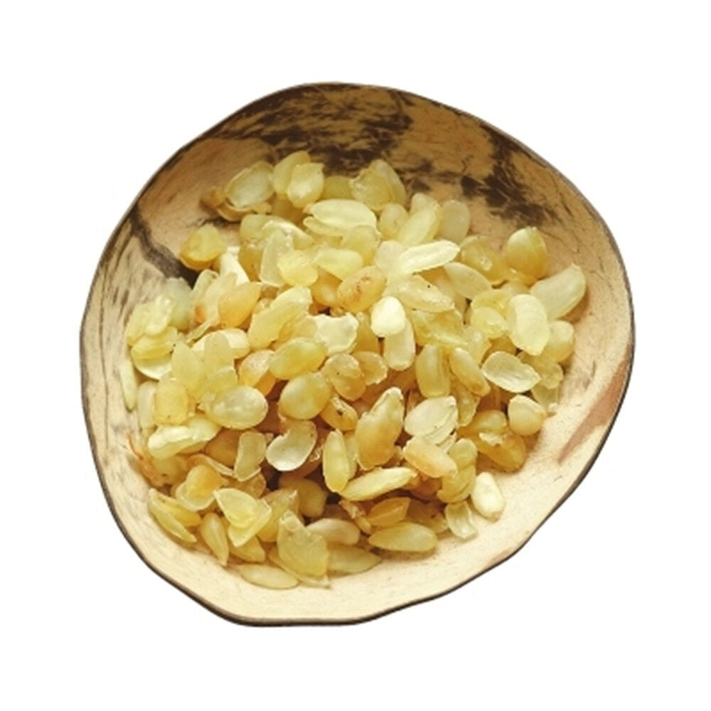 100% Pure Snow Lotus Seed (Tian Shan Xue Lian) 雪蓮子 皂角米 Chinese Herbal