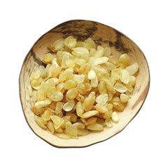 100% Pure Snow Lotus Seed (Tian Shan Xue Lian) 雪蓮子 皂角米 Chinese Herbal