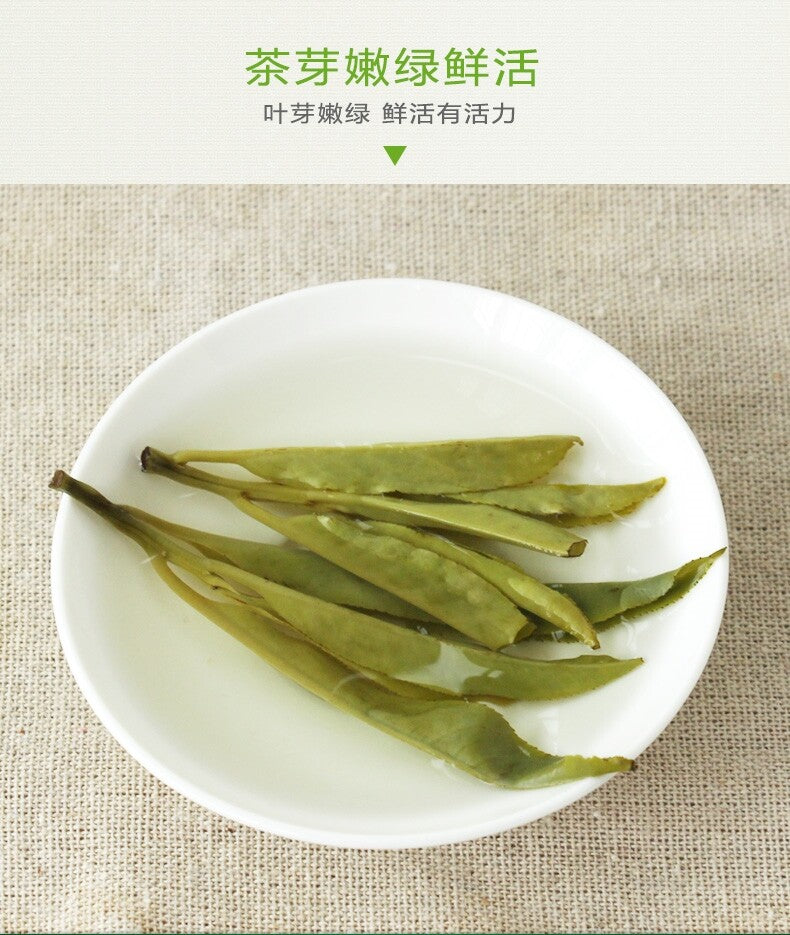 125g Big Leaf Kuding Tea Hainan Specialty Bitter Green Tea Needle Ku Ding Cha