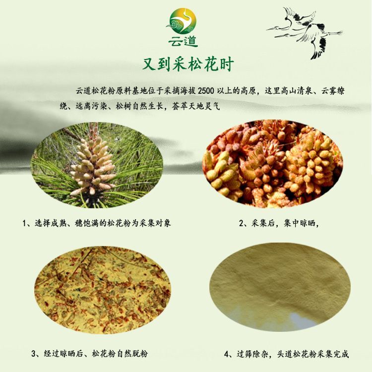 99% Cracked Cell Wall Herbal Extract Yunnan Shell-broken Pine Pollen Tablet 100g