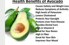 10:1 Organic Avocado Fruit Ground Powder Pure Natural Premium Quality Grade A