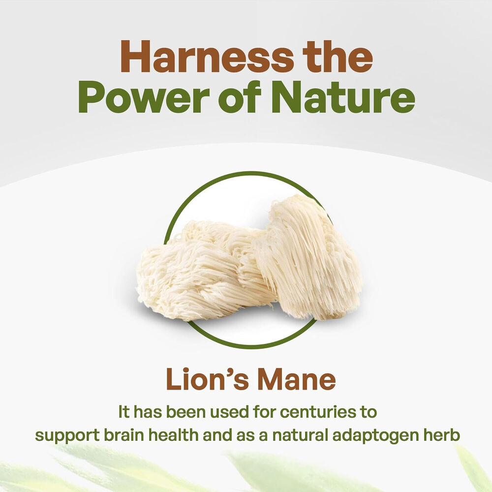 Lion's Mane Mushroom Powder Pure Extract 8.8oz