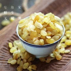 100% Pure Snow Lotus Seed (Tian Shan Xue Lian) 雪蓮子 皂角米 Chinese Herbal