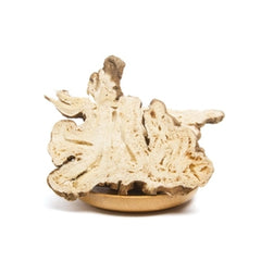 HelloYoung 100% Natural Medicinal China Atractylodes Lancea Rhizome Dry Bulk Herbs