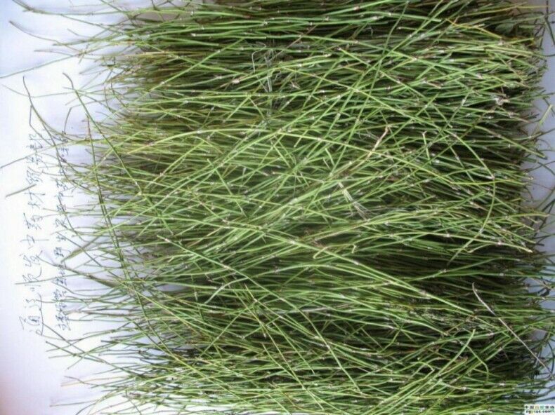 Muheng Tea Herbal Tea Mo heng Green Tea Pure Raw Black Tea New Tea Moheng