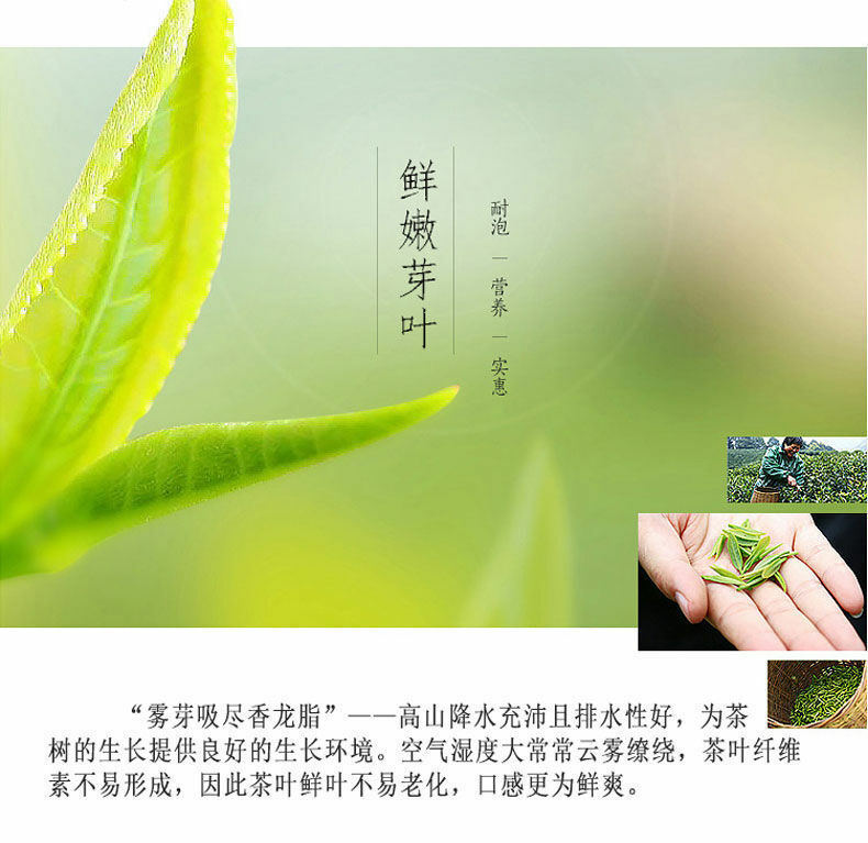 HelloYoung Premium Organic Bai Mu Dan White Peony White Tea Spring Tea Loose Leaf Tea 400g