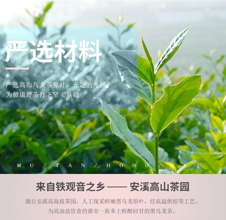 HelloYoung Black Oolong Tea Premium Chinese Oolong Tea for Slimming Tea 250g Box
