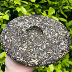 357g Pu-erh Raw Tea Cake Iceland Big Tree Puerh Tea Early Spring Pu'er Green Tea